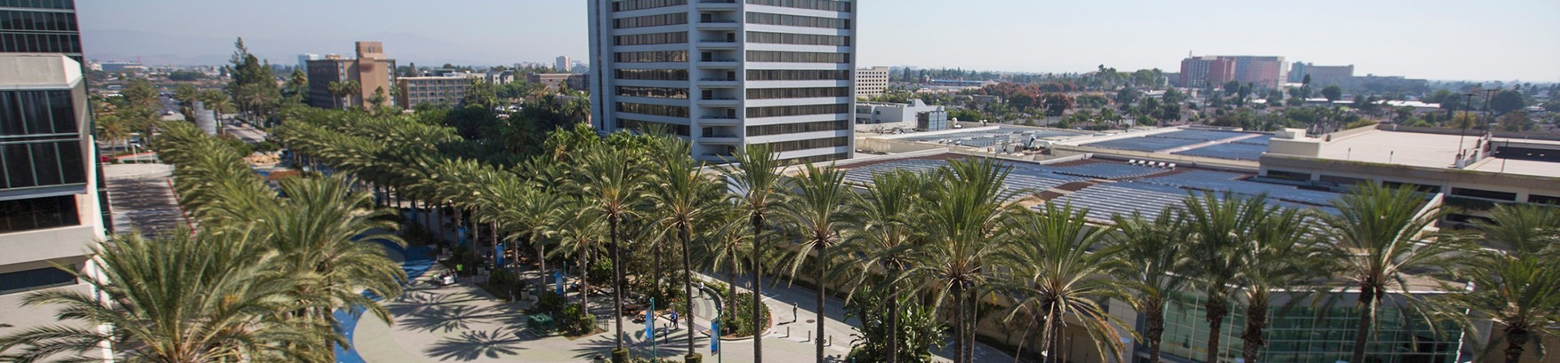 Sunny cityscape with palm trees where you can find a leading Leading Car Accident Lawyer in Anaheim