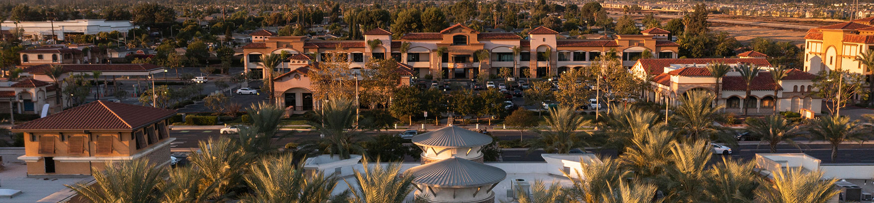 View of buildings and palm trees, an area served by the best Rancho Cucamonga personal injury lawyer