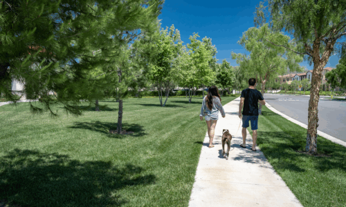 You Were Just Walking… Now What? A San Bernardino Pedestrian Accident Lawyer Explains