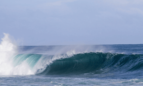 settlement-waves:-how-a-newport-beach-car-accident-lawyer-can-help-you-ride-them-smoothly