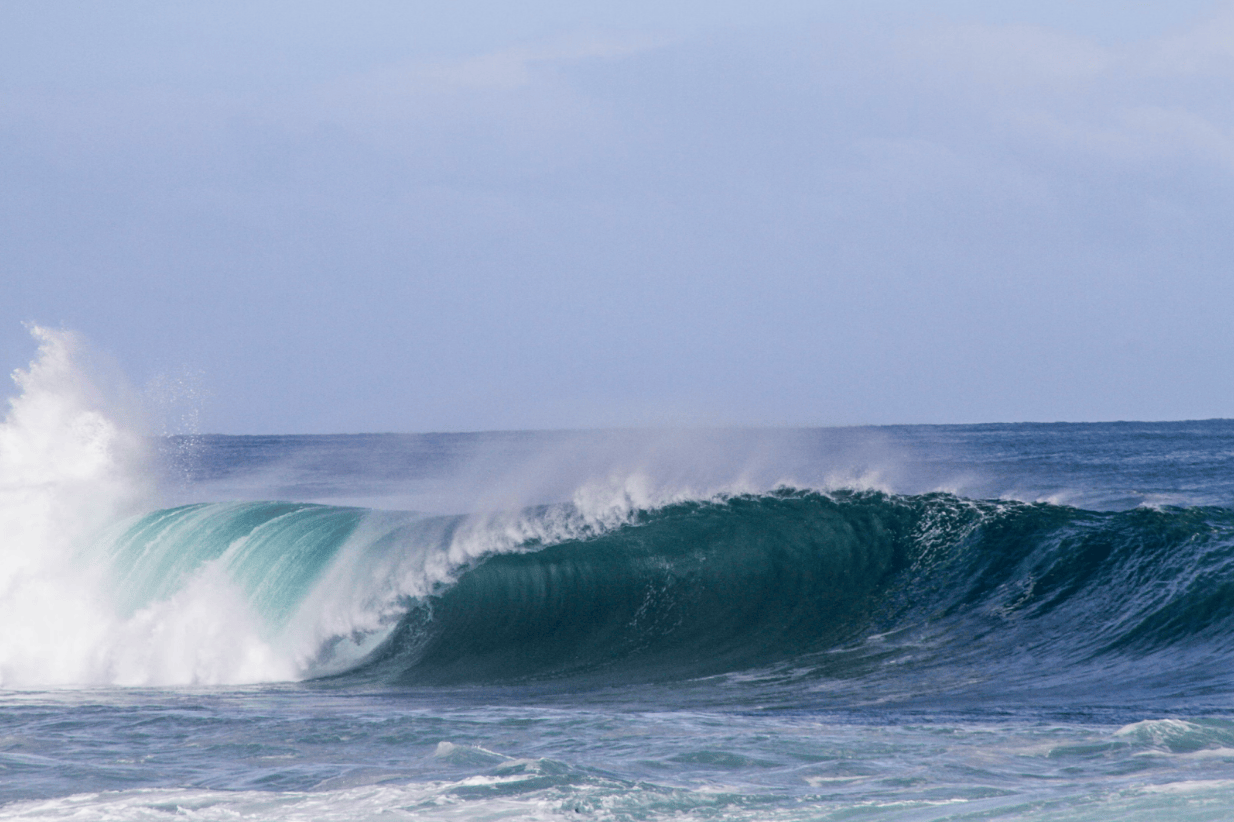 settlement-waves:-how-a-newport-beach-car-accident-lawyer-can-help-you-ride-them-smoothly