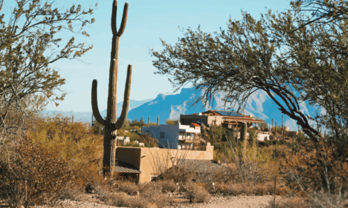 local-insight:-why-an-auto-accident-lawyer-in-tucson-beats-out-of-town-firms